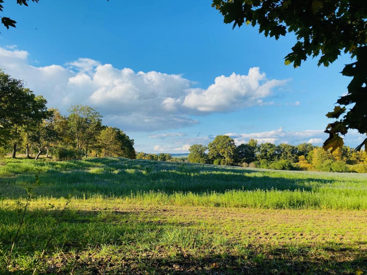 Boutique byt České Budějovice Esterno foto